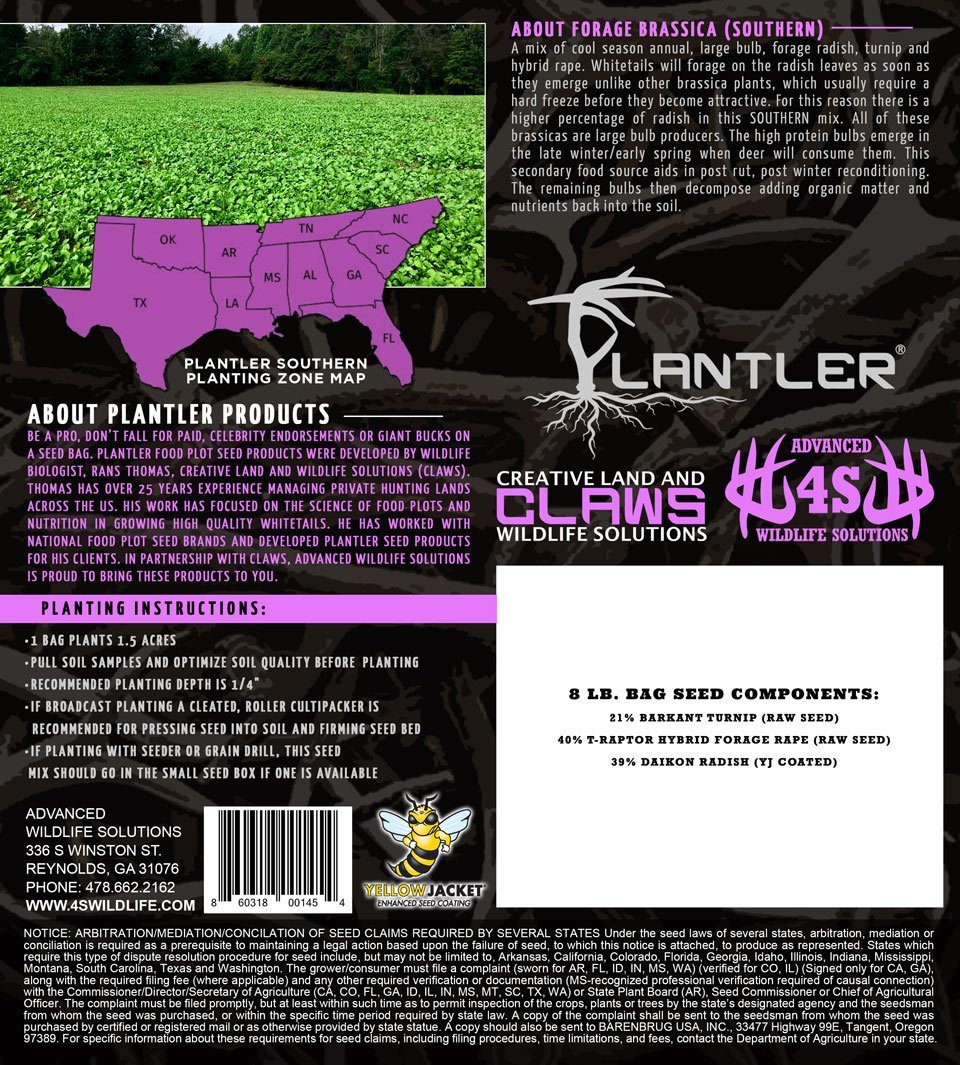 Plantler Forage Brassica