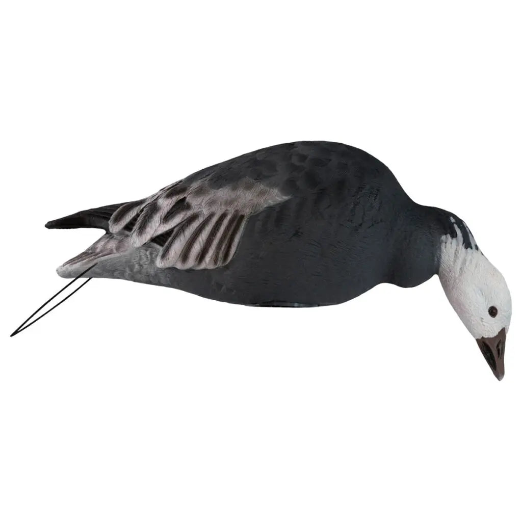 Rugged Series Full Body Snow and Blue Goose Touchdown Decoys 12-Pack