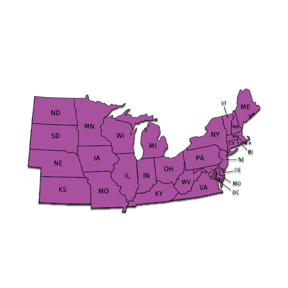 Plantler Forage Brassica