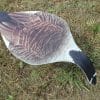 CS1 Canada Goose – Snow Goose Decoy