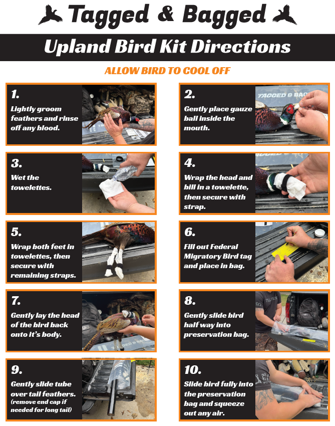 Upland Bird Preservation Kit