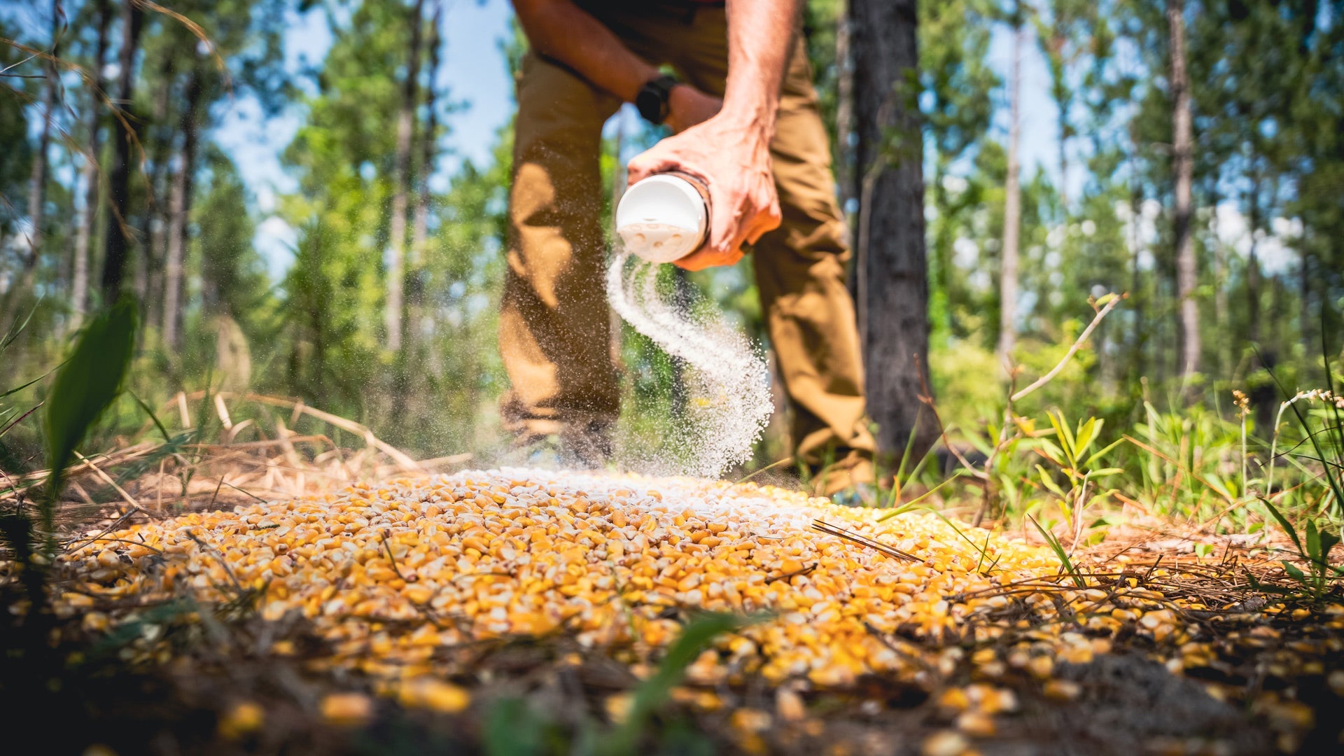 Corn Spike Flavor Additive
