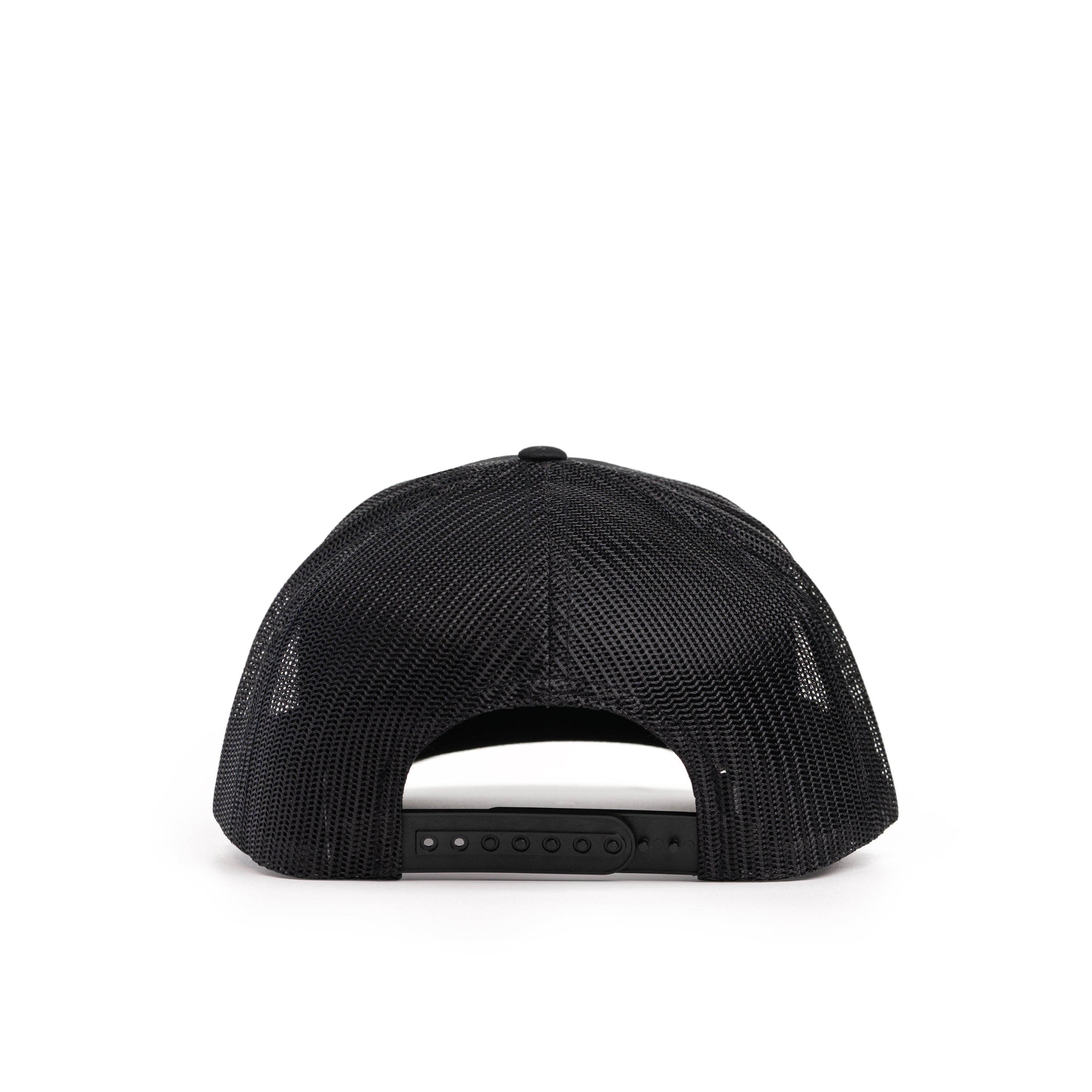 Largemouth Bass Patch Hat